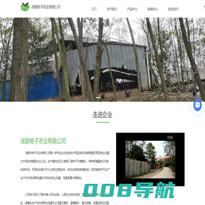 土鸡蛋-绿壳蛋-乌鸡蛋批发-成都市杨子农业有限公司