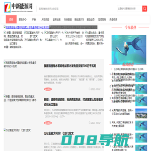 中新能源网-中国新能源网