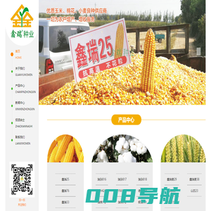 鑫瑞
