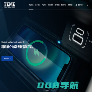 浙江泰米电子科技有限公司