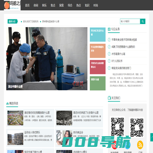 鸣鹤之应网