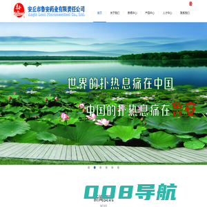 -安丘鲁安药业有限责任公司