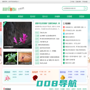 道道花百科 - 养花知识,花图谱,花语录,花卉大全