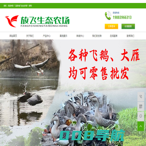 大雁苗_飞鹅养殖_杭州灰雁销售_灰雁_斑头雁养殖场_金华兰溪放飞生态农场