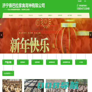朗德鹅苗,养殖场,价格-济宁赛巴拉家禽育种