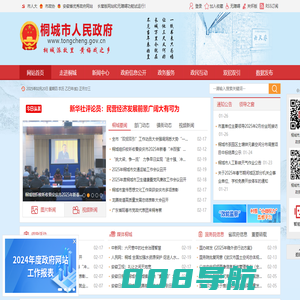 桐城市人民政府