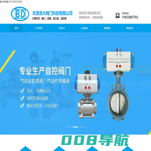 天津滨大阀门科技有限公司
