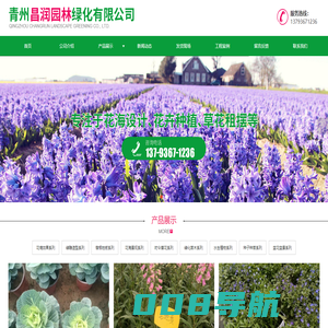 青州昌润园林绿化有限公司 - 青州绿化苗木_青州花卉工程