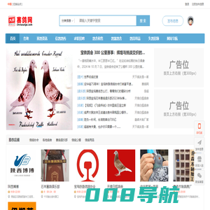 赛鸽网-专业的信鸽分类信息信鸽头条！,鸽界头条信鸽分类信息及资讯