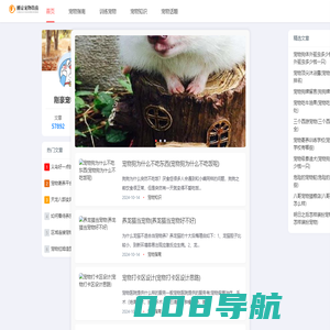 擅长推荐有价值的宠物知识和指南-刚豪宠物指南