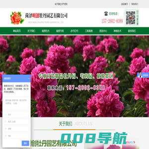 菏泽明创牡丹园艺有限公司-菏泽牡丹种植基地,菏泽观赏牡丹,菏泽观赏芍药