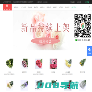 鲜花批发xhpf.com-云南昆明嘉佳花卉优质鲜花采购批发平台网站