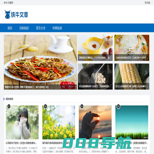 铁牛文章网
