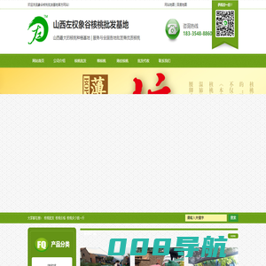 核桃批发,山西核桃批发,山西野生老树核桃批发,山西核桃批发基地直销价格最低-象谷核桃批发基地