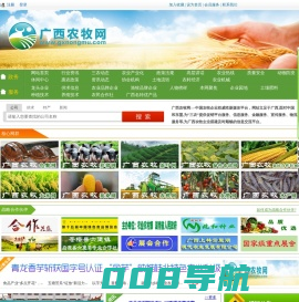 广西农牧网—品质农牧业融媒体传播平台