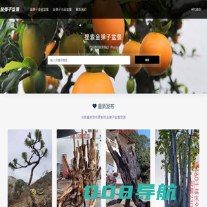 金弹子盆景-金弹子