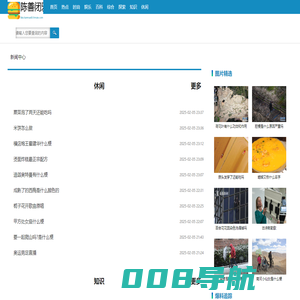 陈善闭邪网