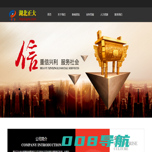 湖北正大会计师事务有限责任公司