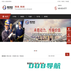 山东鲁欣电缆-山东鲁欣电缆有限公司