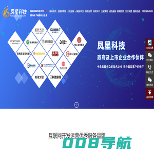 数字化平台开发_佛山抖音运营_小程序开发_高端定制网站公司_全网营销推广-凤星科技
