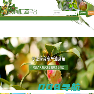 油茶种植云商平台_重庆油茶种植门户网站_重庆油茶种植_重庆油茶销售_重庆油茶批发_重庆油茶订购_酉阳油茶种植技术
