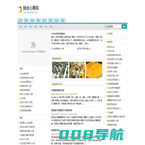 貌合心离网
