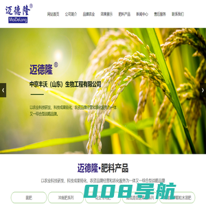 中京丰沃（山东）生物工程有限公司,菌肥,冲施肥系列,花生专用肥,高氮提苗返青肥