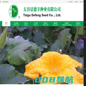太谷县德丰种业有限公司