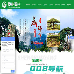 济南市钢城区晟瑞祥园林有限公司,精品造型松,大型古松,工程用造型松,平顶松,迎客松