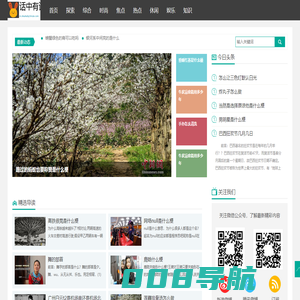 3171工具箱首页-致力打造简捷高效的在线工具箱