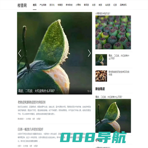柑普网 | 柑普茶文化交流平台