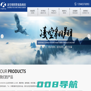沈阳凌空翱翔聚氨酯橡胶制品厂_活塞密封圈,活塞杆密封圈,防尘圈,活塞活塞杆密封圈,旋转密封圈,阀门用密封圈,缓冲密封圈,O形密封圈,密封附件,聚氨酯制品,各种密封制品