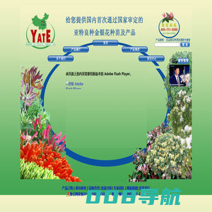 亚特金银花网 金银花新品种，国审良种金银花，金银花种质资源库