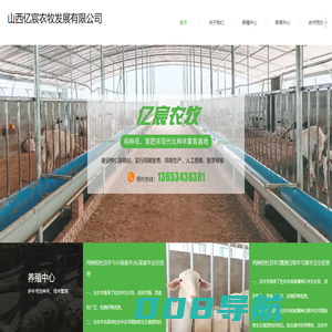 亿宸农牧丨种母羊培育丨种羊繁育基地丨饲料供应商