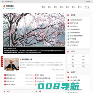 天悬地隔网