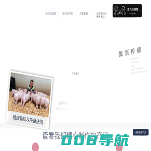 布瑞林