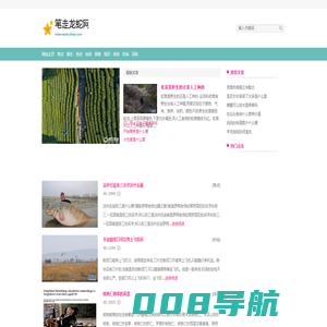 笔走龙蛇网