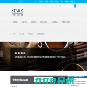 全球保险与投资 - 史带财险官网