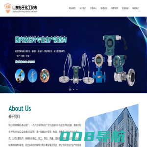 山东标王化工仪表有限公司|雷达物位计|压力变送器