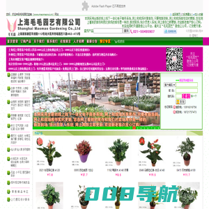 毛毛园艺盆栽网