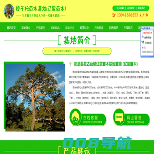 首页 - 樟子松营养杯苗_暴马丁香树苗,樟子松苗木基地(辽蒙苗木),热线:13941886253