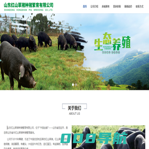 山东红山草猪种猪繁育有限公司-红山草猪种猪繁育基地山东红山草猪 种猪繁育 养殖基地