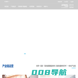 中仑新材料股份有限公司