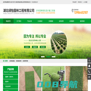 武汉草皮基地/湖北草皮价格/草坪价格/草皮基地-湖北绿怡园林工程有限公司