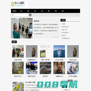 动人心魄网