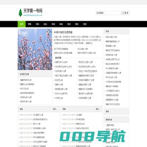 天字第一号网