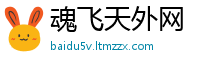 魂飞天外网
