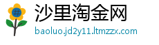 沙里淘金网