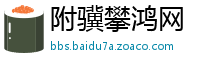 附骥攀鸿网