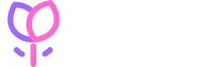 花色网络